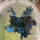 小西餐 拿捏起