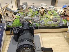 -Sony Store索尼(深圳深业上城店)