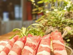 -森味薪火烧•烧鸟居酒屋•日本料理(望京店)