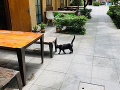 -嘉善老市