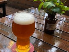 -Boxing Cat Brewery拳击猫精酿啤酒馆(永福店)