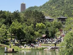 -牛首山文化旅游区