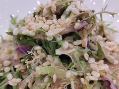 果蔬大拌菜-簋街仔仔小龙虾(总店)