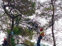 -芦仙山景区-飞越丛林探险乐园