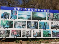 -天女山森林公园