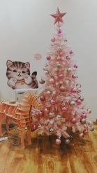 -Lab Season惜辰颜究社