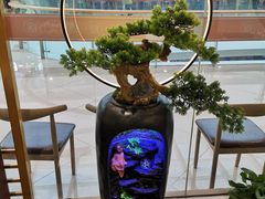 -百品聚旋转小火锅(熙悦汇店)
