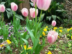 -浙江西子宾馆·瑶园咖啡厅