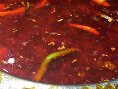 -蜀滋香鲜鱼美蛙火锅(339店)