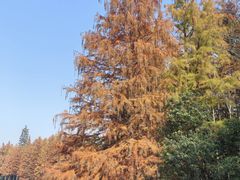 -长广溪湿地公园