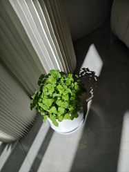 -倩极·精研痘敏肌管理