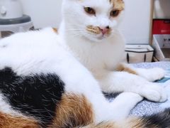 -西宁福茵长乐国际大酒店