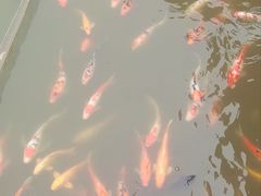 -无锡动物园·太湖欢乐园