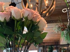 -一棵树·意大利西餐厅One Tree(新城店)