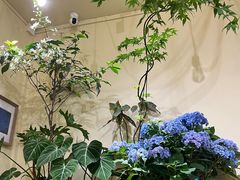 -花二家·生活馆(六运小区店)