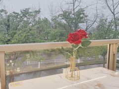 -宝荣鱼馆·临湖之宴(千岛湖店)