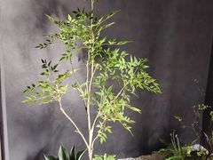 -梁溪河畔·吉府花园(南长街南下塘店)