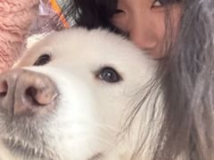 -怪兽屋·羊驼·猫咖·狗咖(俊华广场店)