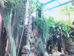 -自然餐厅(Phuket)