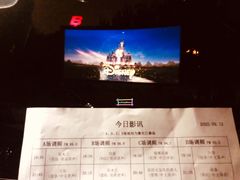 -枫花园汽车电影院(朝阳公园店)