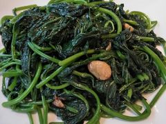 蒜蓉炒番薯叶-新海利海鲜城·41年珠海老字号(夏湾店)