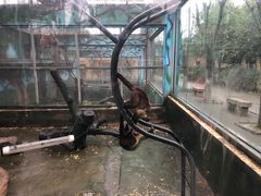 -宁波野生动物园