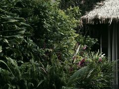 -梧桐花园餐厅(新城店)