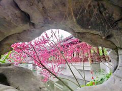 -重庆彩云湖湿地公园