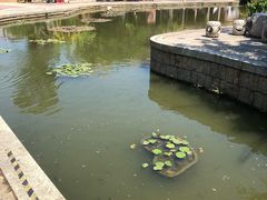 -晋江五店市传统文化旅游区
