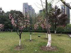 -太仓市第一人民医院