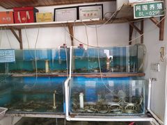 -小陆莲花蟹园农家乐(莲花岛店)
