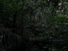 -云龙山
