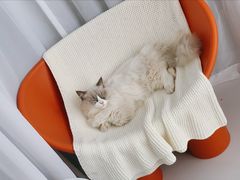 -一间摄影工作室(天安云谷店)