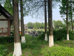 -太阳岛度假酒店