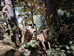 -陕西自然博物馆