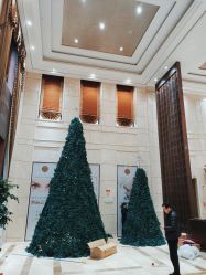 -禾丽康美医疗美容医院
