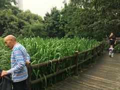 -成都市活水公园