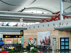 -重庆江北国际机场-T2航站楼