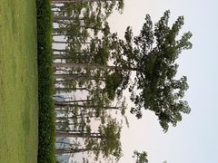 -芒洲湿地公园