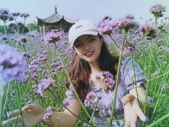 -杭州城北体育公园