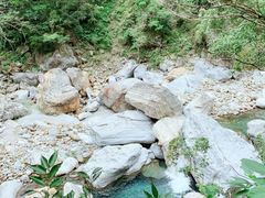 -太鲁阁公园