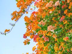 -天河客运站(地铁站)