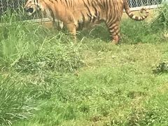 景点-昆明动物园