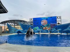 -上海海昌海洋公园
