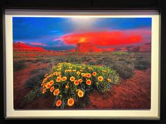 -罗红摄影艺术馆