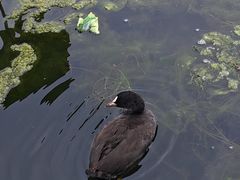 -哈尔滨大剧院
