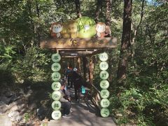 -大岭沟猕猴桃谷风景区