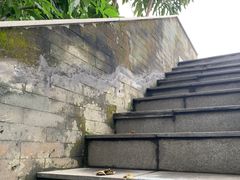 -广州神农草堂中医药博物馆