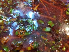 辣子面-小李旗花面庄