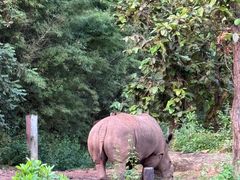 -清迈夜间动物园